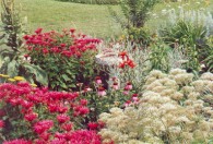 Beautiful gardens